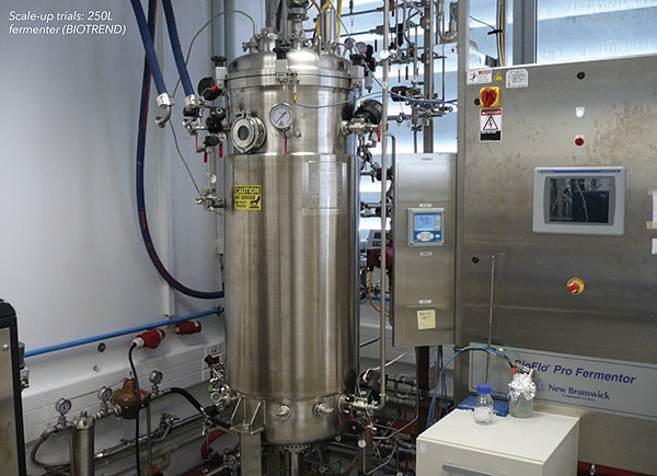 250litre fermenter